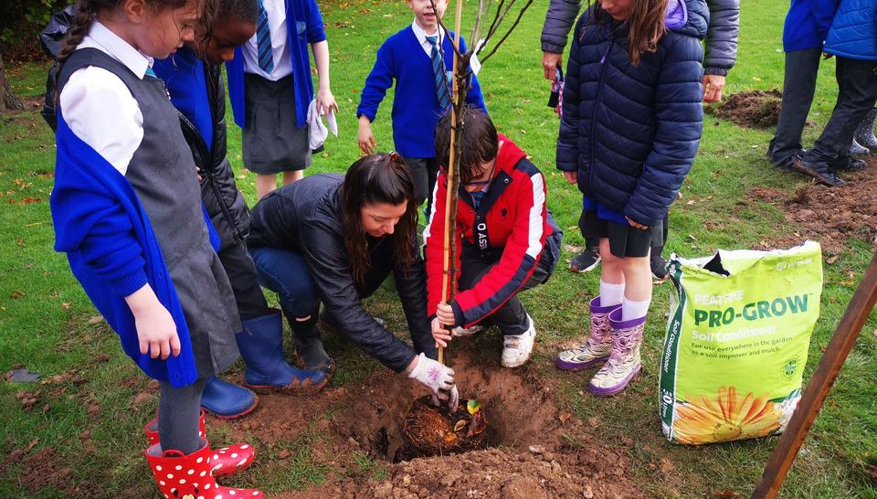 Adult and pupils planting tree 