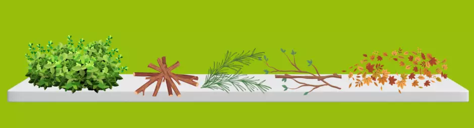 The image shows a range of green waste that can be placed in the garden waste bin or sacks