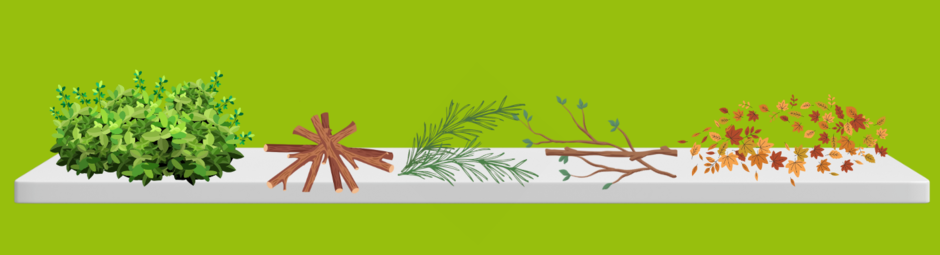 The image shows a range of green waste that can be placed in the garden waste bin or sacks